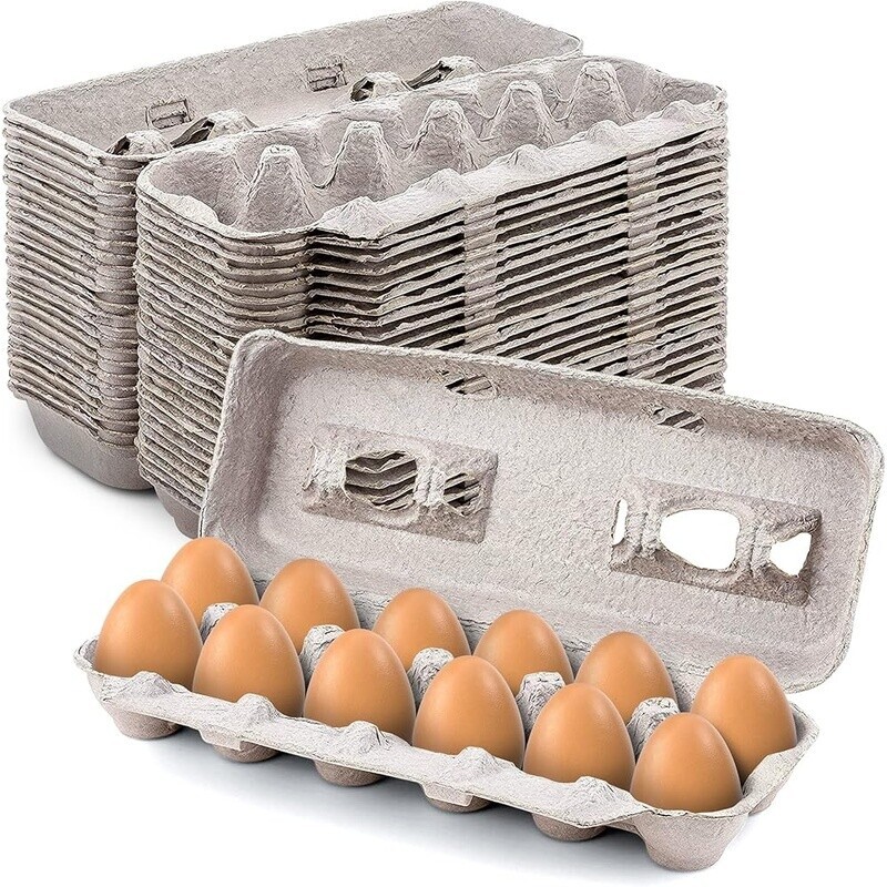 Blank Egg Cartons Bulk Recycled Pulp Holds 12 Perfect Storage Crafts Reusable US