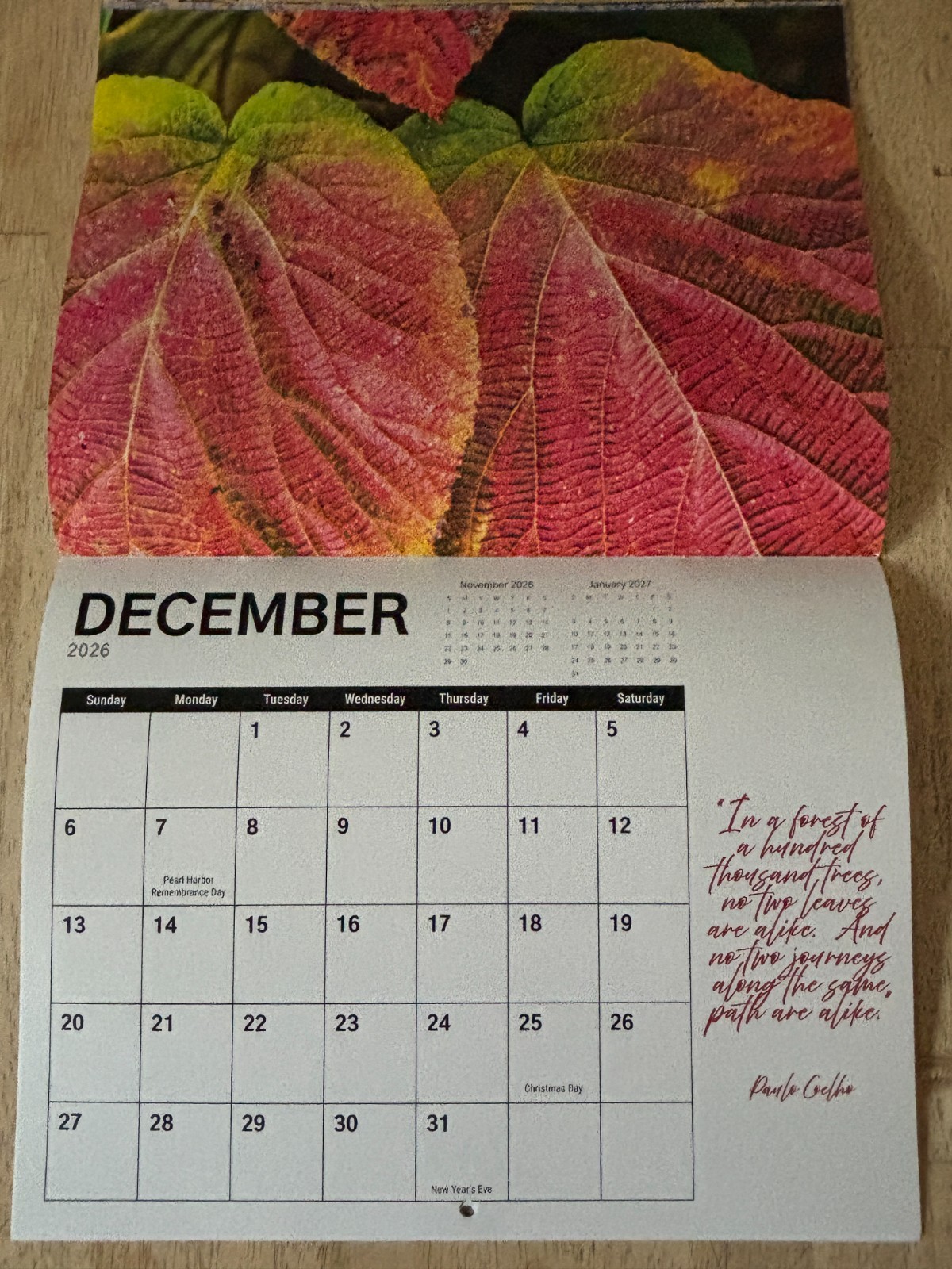 Tree Chronicles – 2026- 12-Month Wall Calendar – Great Tree Photography!