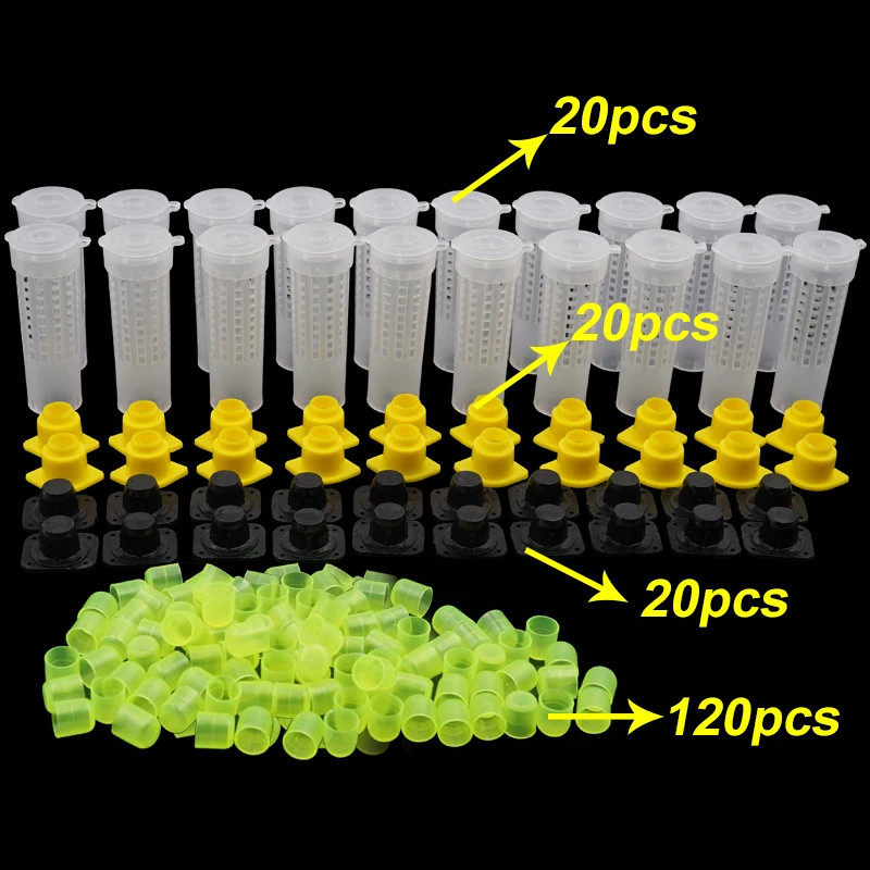 1Set Beekeeping Cages King Queen Rearing System Plastic Bee Tool Catcher Box
