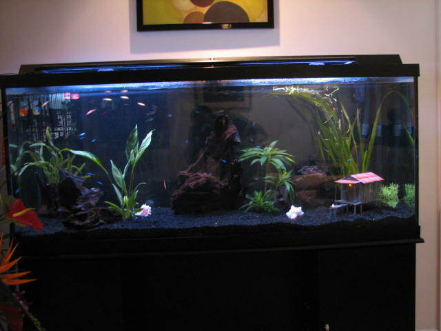 AQUARIUM SAFE EPOXY RESIN REPAIR BUILD 4 COATING & FIBERGLASSING WOOD SEALING