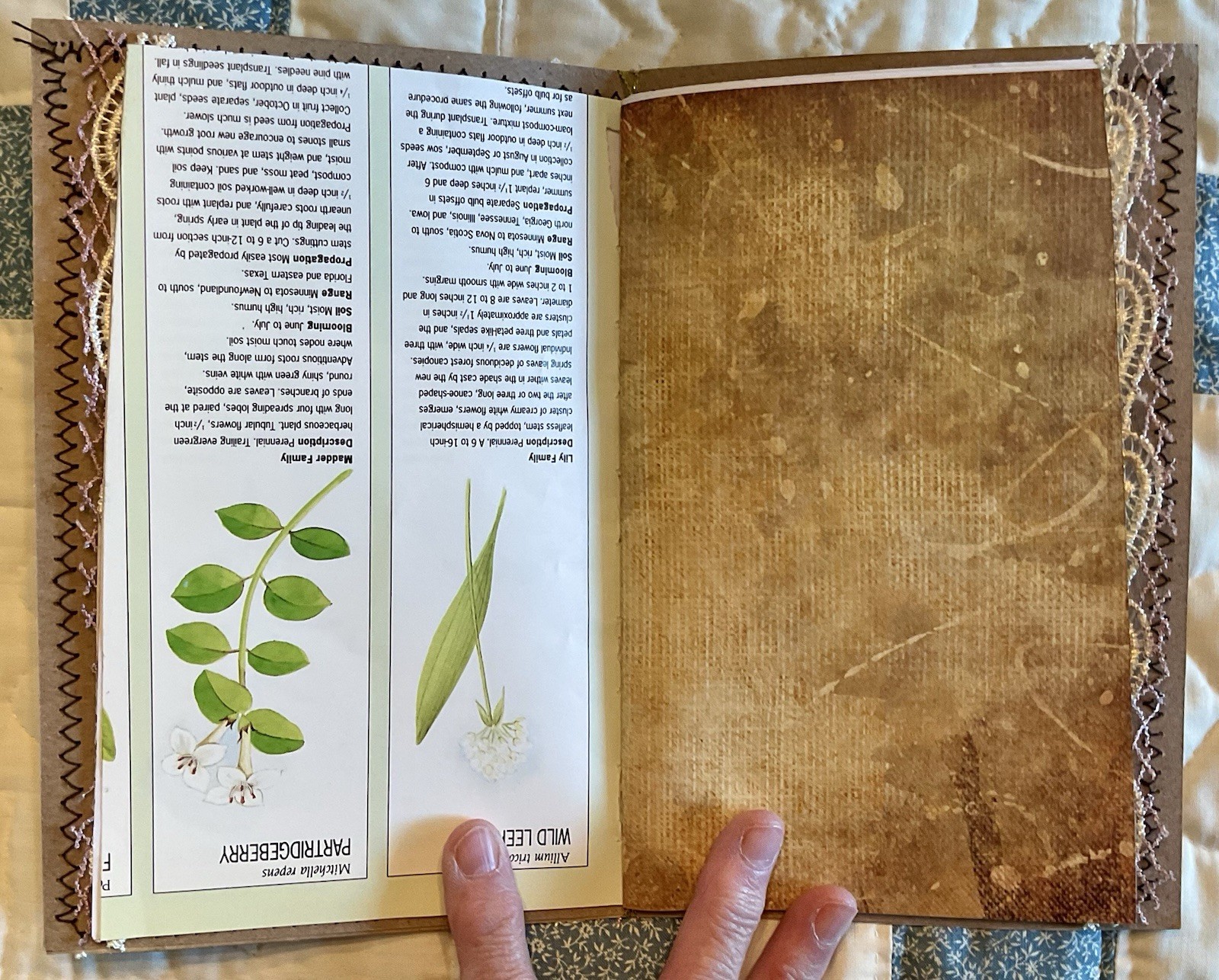 Handmade Junk Journal Natural Inspired
