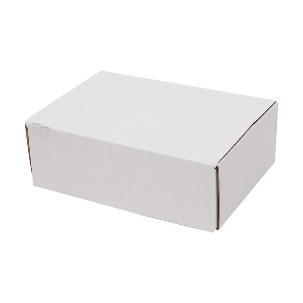50 Pack 6x4x2 White Corrugated Shipping Mailer Packing Boxes 6″ x 4″ x 2″