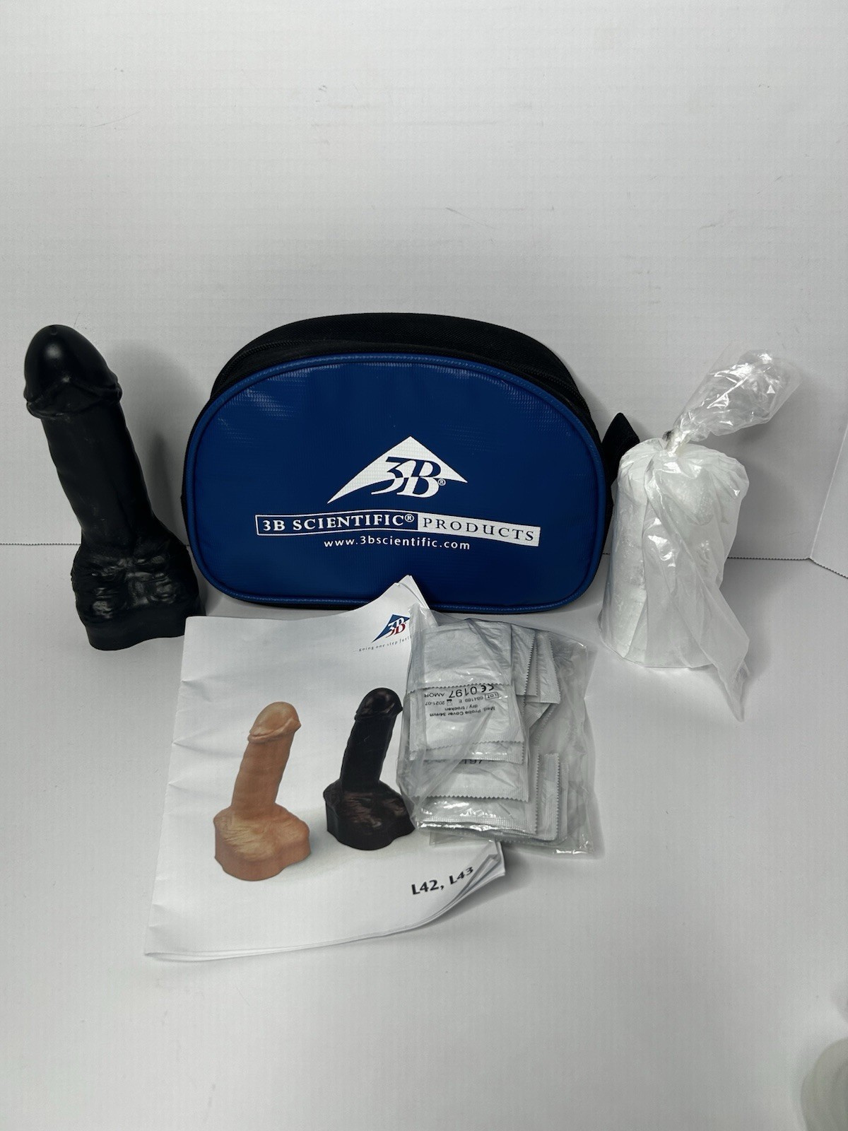 3B Scientific Products Condom Training Model With Accessories In Bag