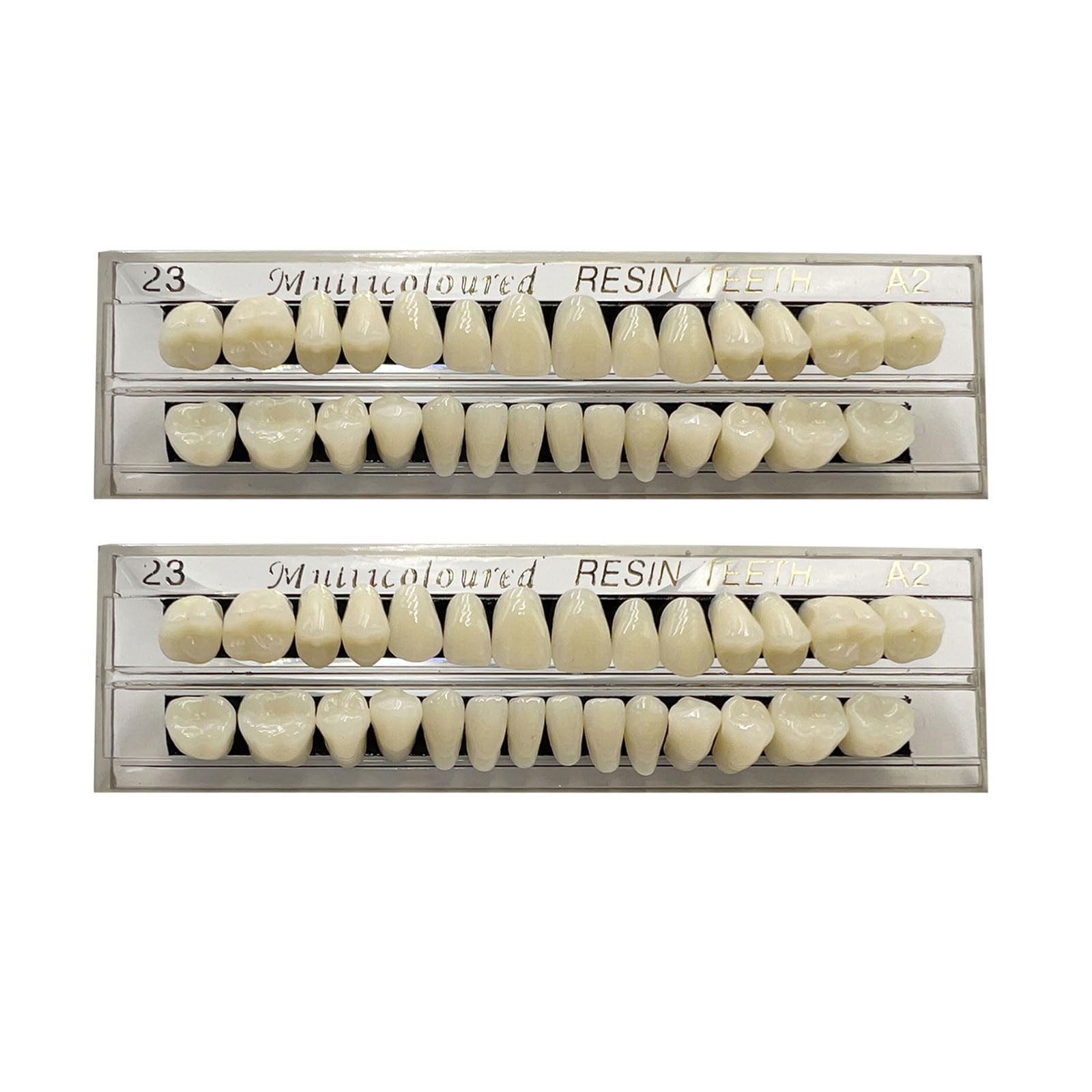 56 Pcs False Teeth Fake 2 Sets Synthetic Resin Dental Tooth, 23 A2