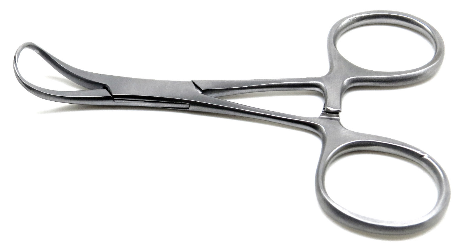 Veterinary Backhaus Towel Clamp forceps 3.5″ Stainless Steel Instruments