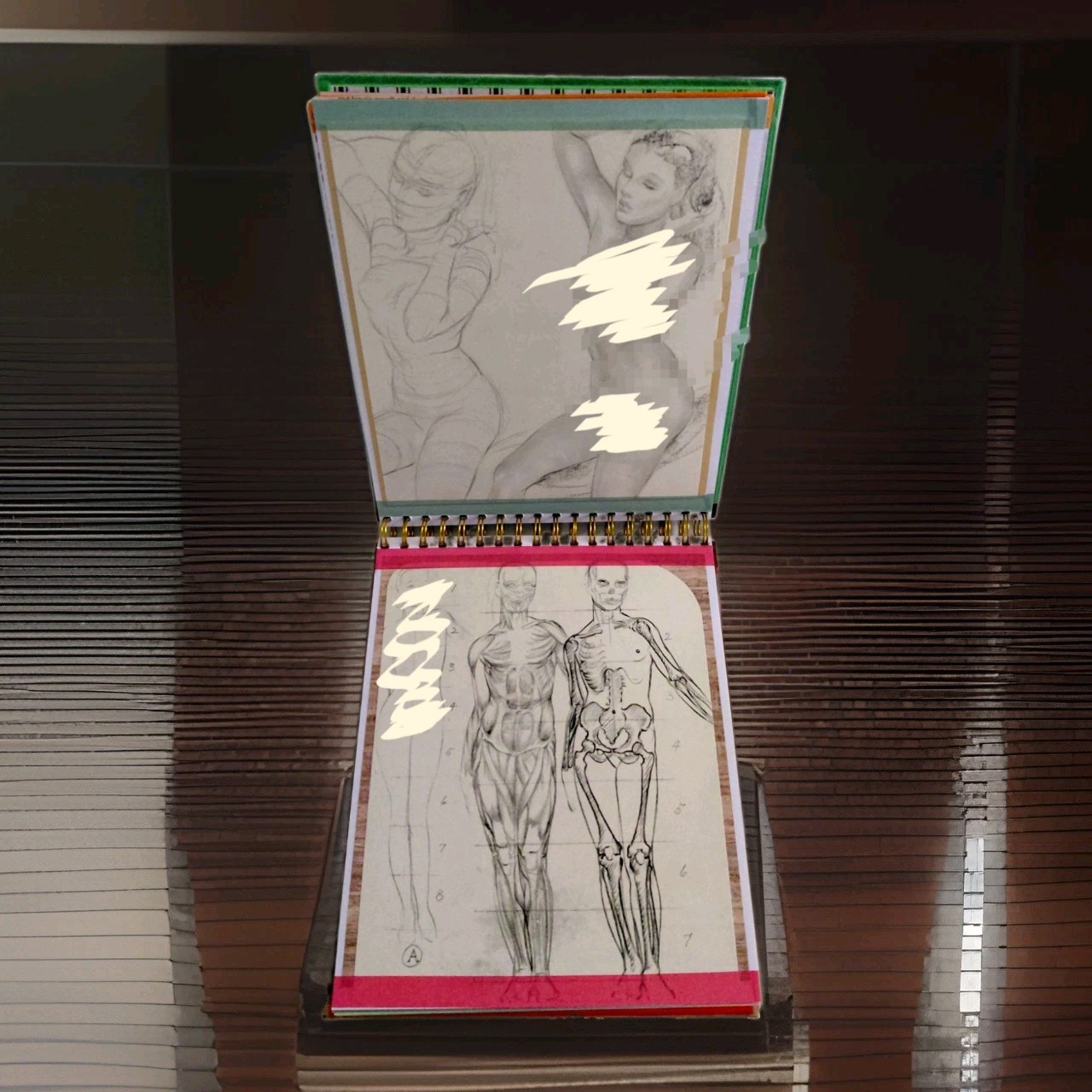 Human Body Anatomy Nudes Artsy Junk Journal Handcrafted Book 48 Pages