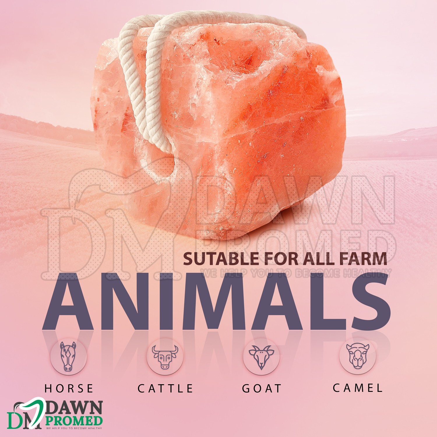 8 Pcs Himalayan Nature 100% Natural Salt Lick Block for Animal Wellness 6.5-8 Lb
