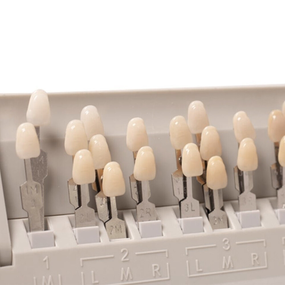 Dental VITA Toothguide 3D Master Shade System with Bleached Shade Guide 29 Color