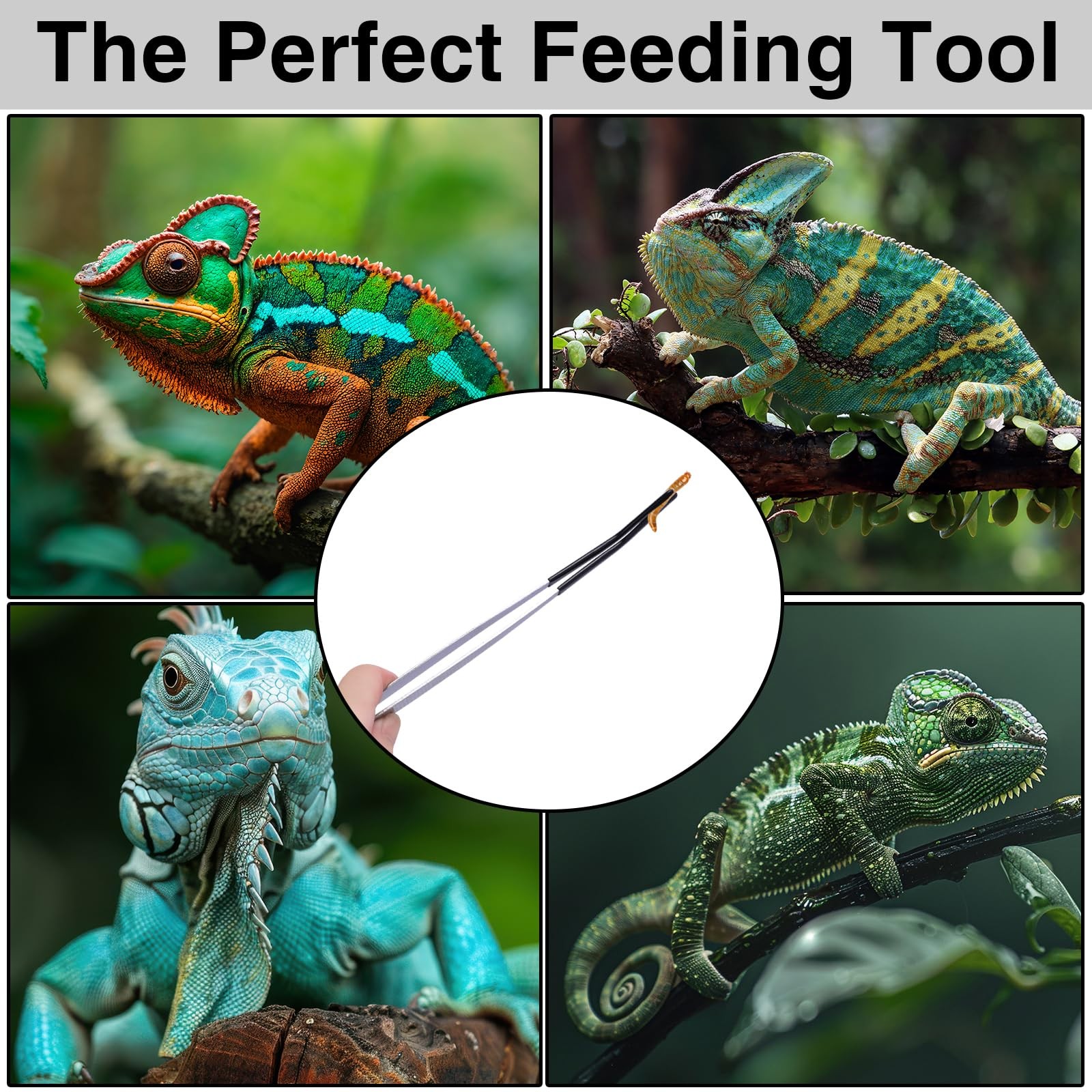 Long Feeding Tongs Stainless Steel 2PCS 11.8 Inch Rubber Tip Reptile Aquarium Tw