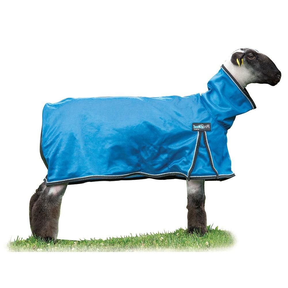 Weaver Livestock Weaver Leather Livestock Procool Mesh Sheep Blanket Reflective