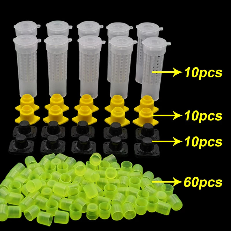 1Set Beekeeping Cages King Queen Rearing System Plastic Bee Tool Catcher Box