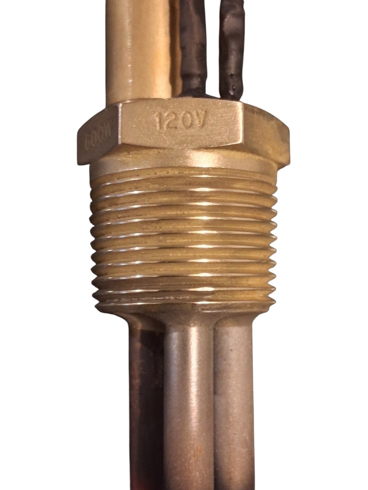Vulcan 120V 600W Submersable Heating Element With Temp Sensor