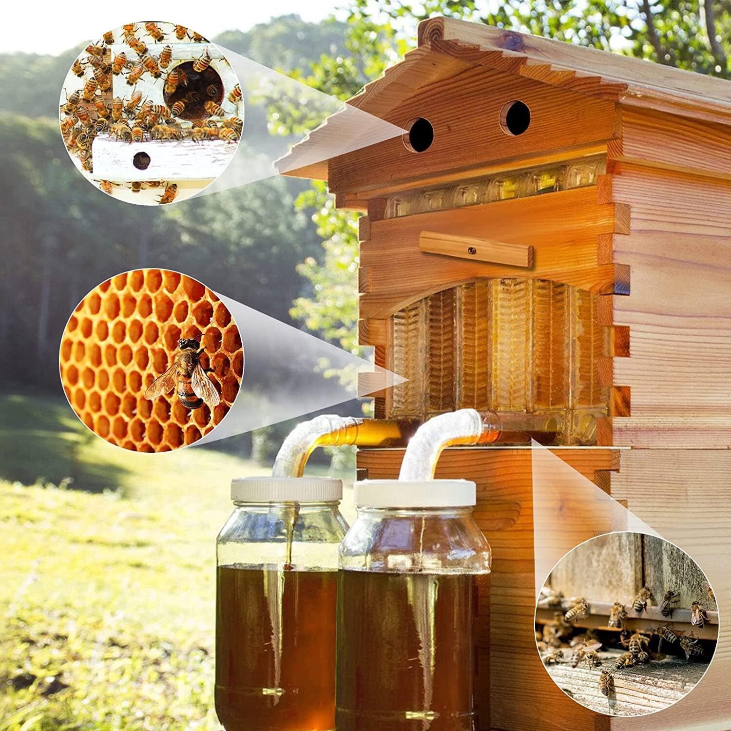 Complete Bee Hives Starter Kit 7 Auto Flow Frames + Beekeeping Supplies Bee Box