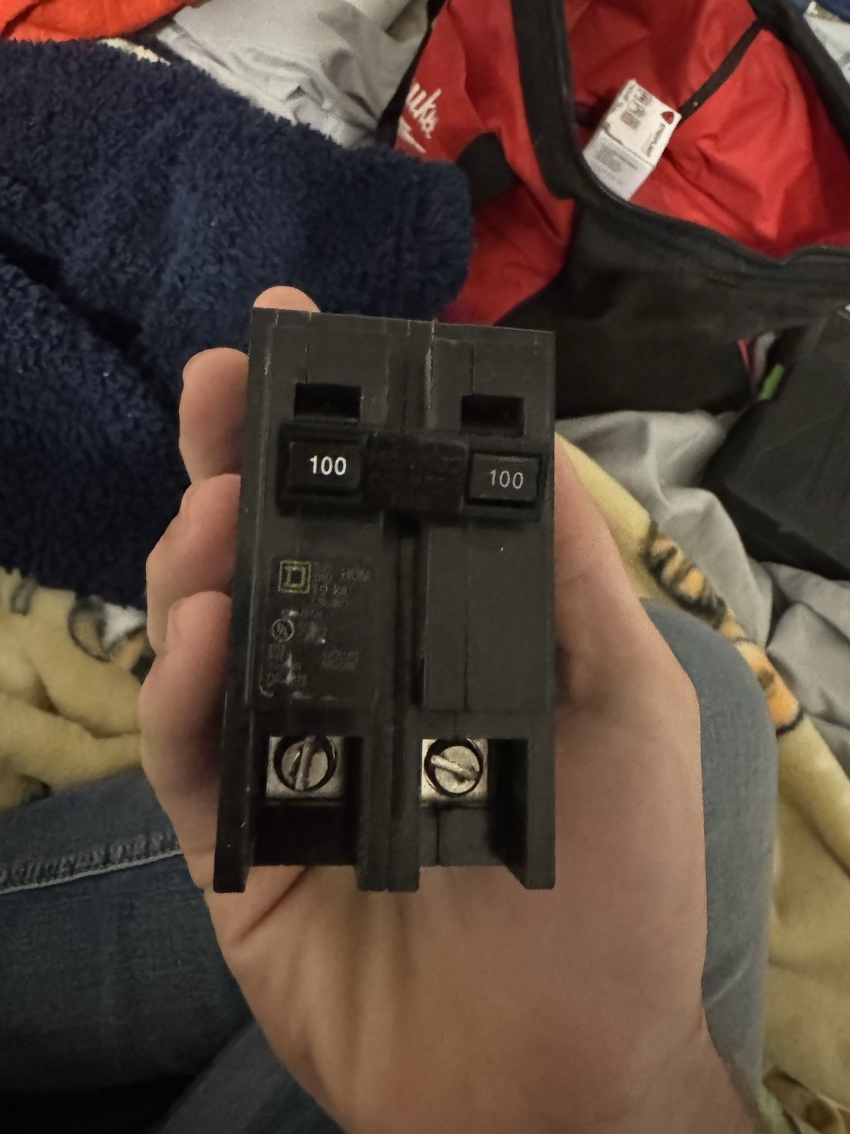 Square D HOM2100C 100 A Miniature Circuit Breaker