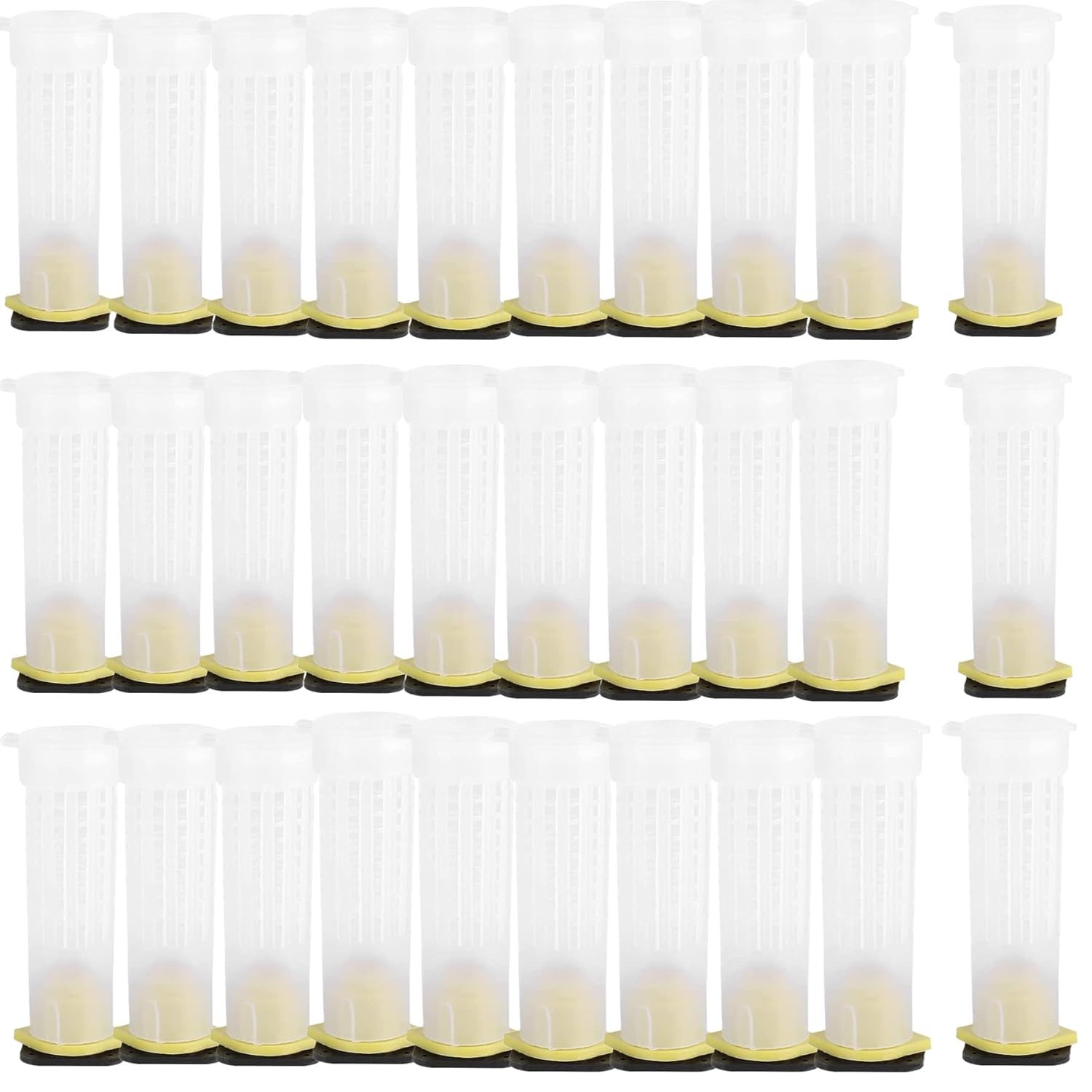 30pcs Queen Bee Roller Cages -Plastic Beekeeping Rearing Cup Kit bee…