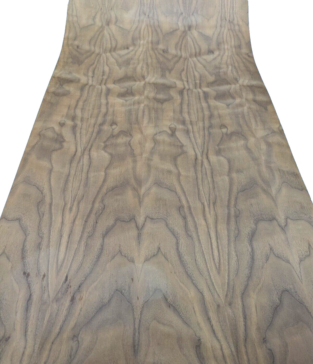 Figured Walnut wood veneer sheet 24″ x 48″ with PSA backer A grade 1/40″ thick