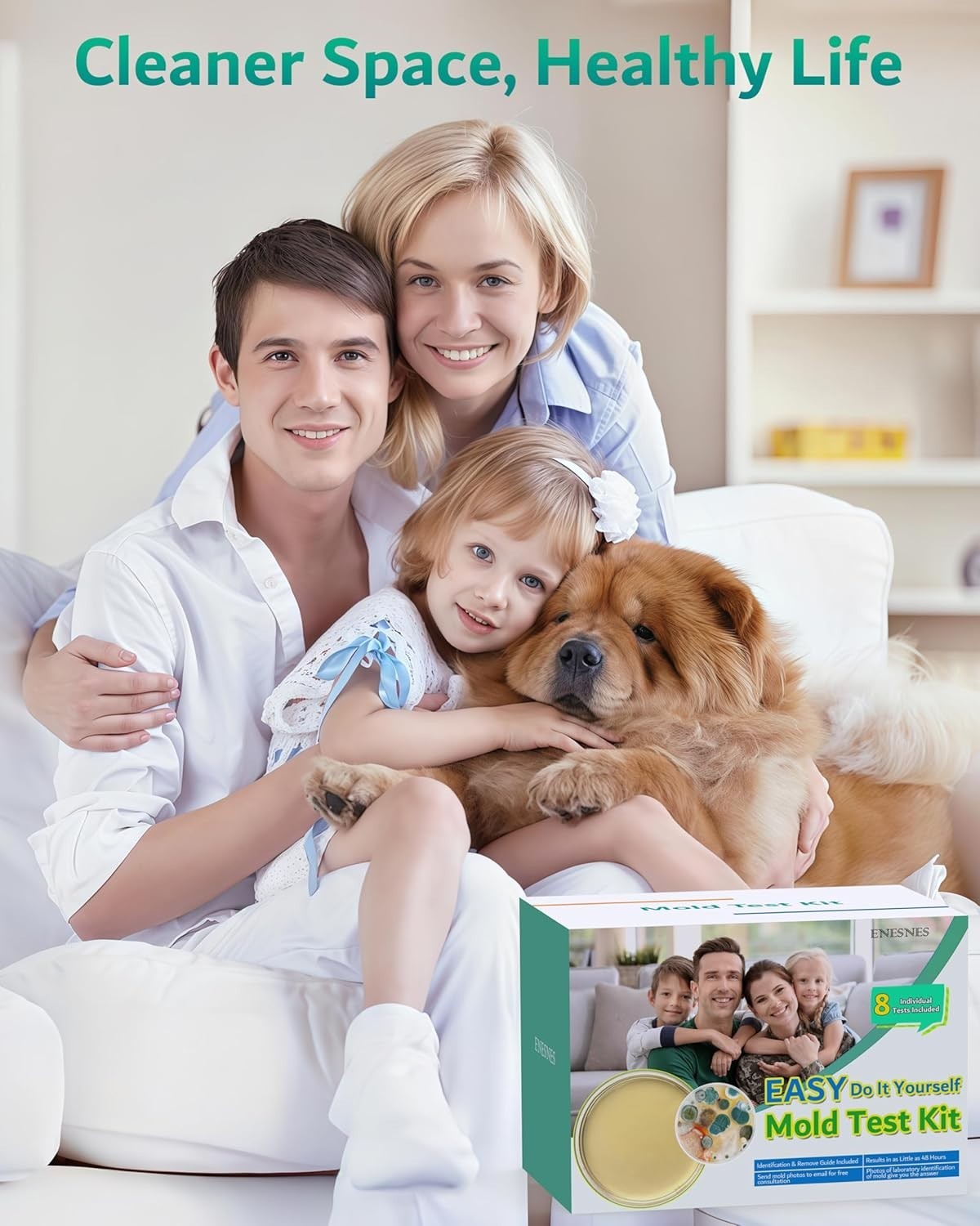Mold Test Kit for Home Air: DIY Mold Detector with 5 Simple Detection Tests -…