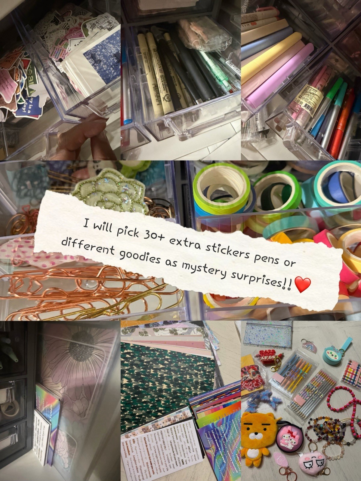 erin condren petite planner Budget Journal Cover Insert Sticker Set Lot Mystery