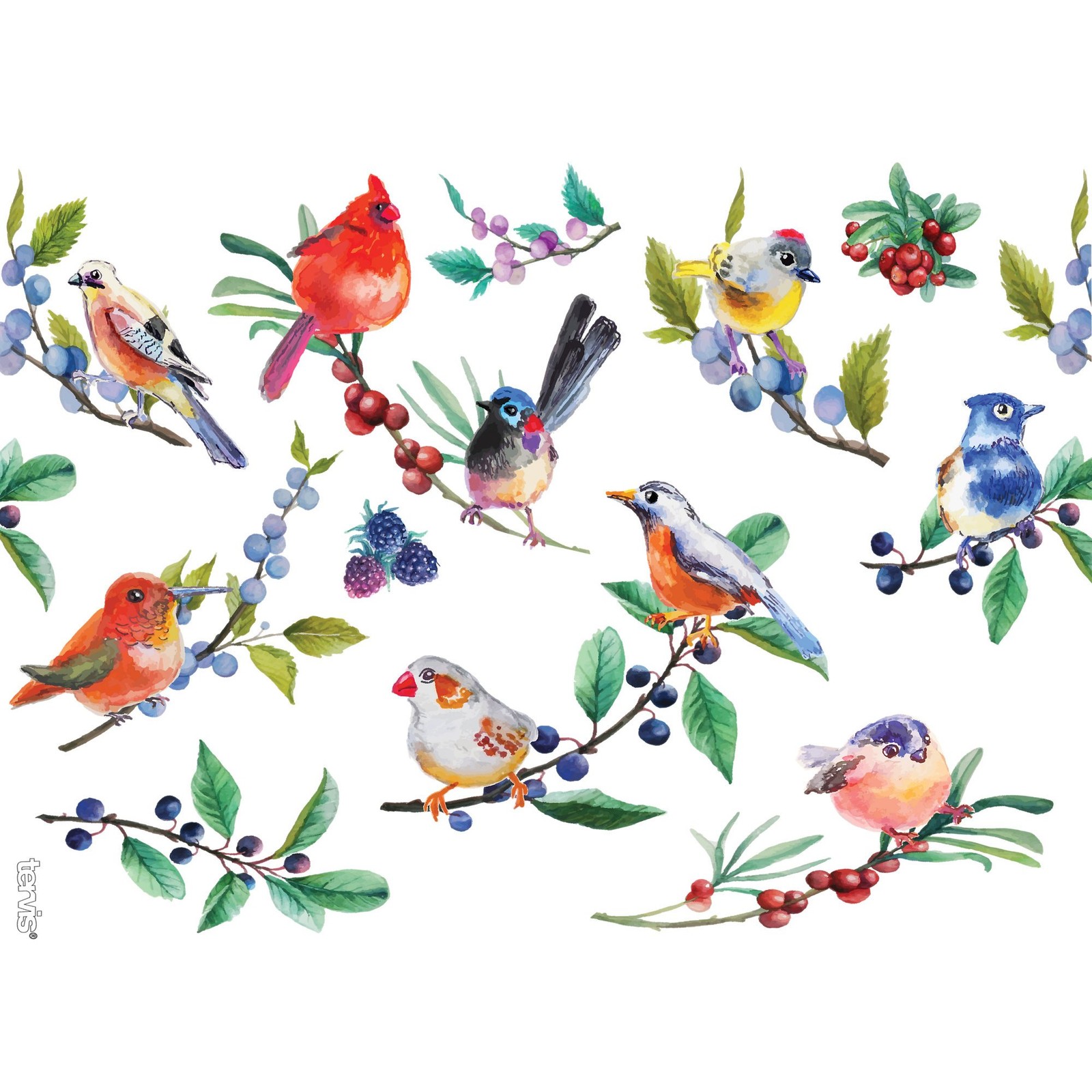 Tervis Watercolor Songbirds Made in USA Double Walled 24 Ounces, Clear