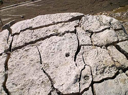 Dexpan Expansive Demolition Grout 11 Lb Bucket Rock Breaking Concrete Cutting