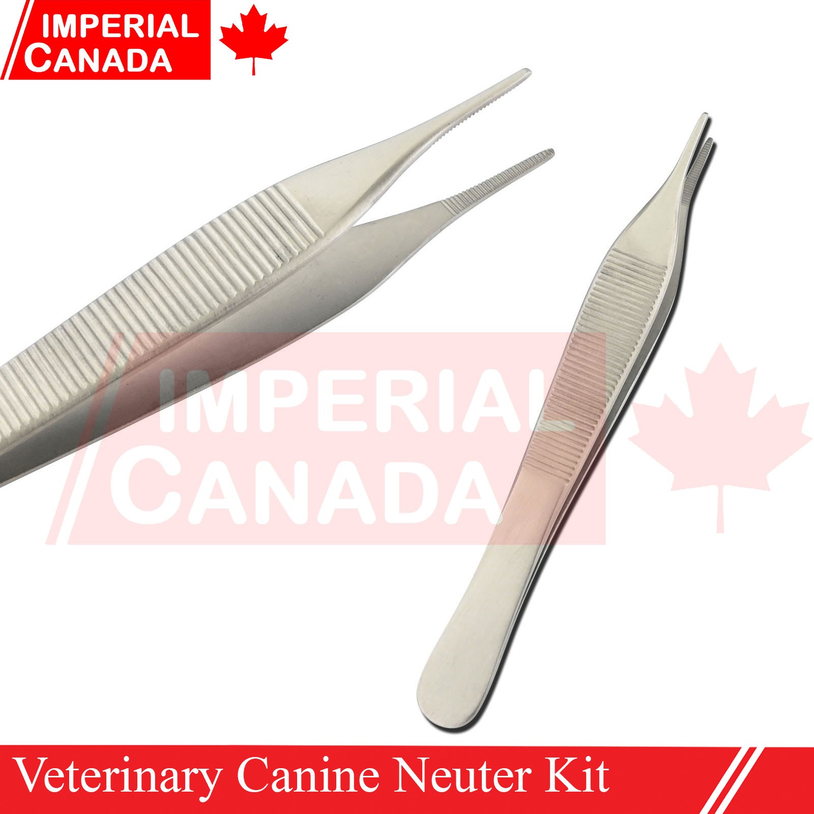 Feline Spay Pack Kit Contain Basic Surgery Instruments Set Surgical Econ DS-2240