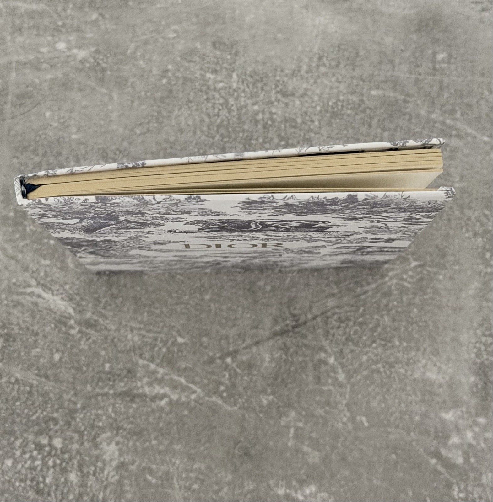 Christian Dior Notebook NEW Journal novelty GWP
