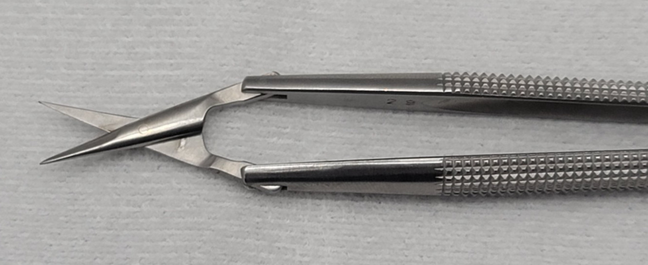 ASSI Adventitia Scissors SAJ-15RM-8 15cm Straight Blade 14mm Round Handle