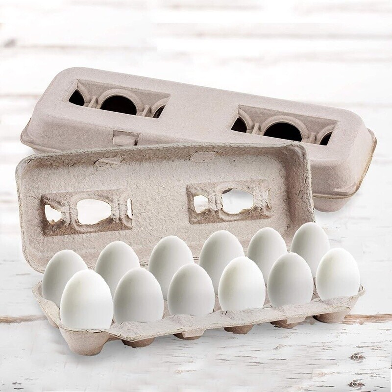 Blank Egg Cartons Bulk Recycled Pulp Holds 12 Perfect Storage Crafts Reusable US