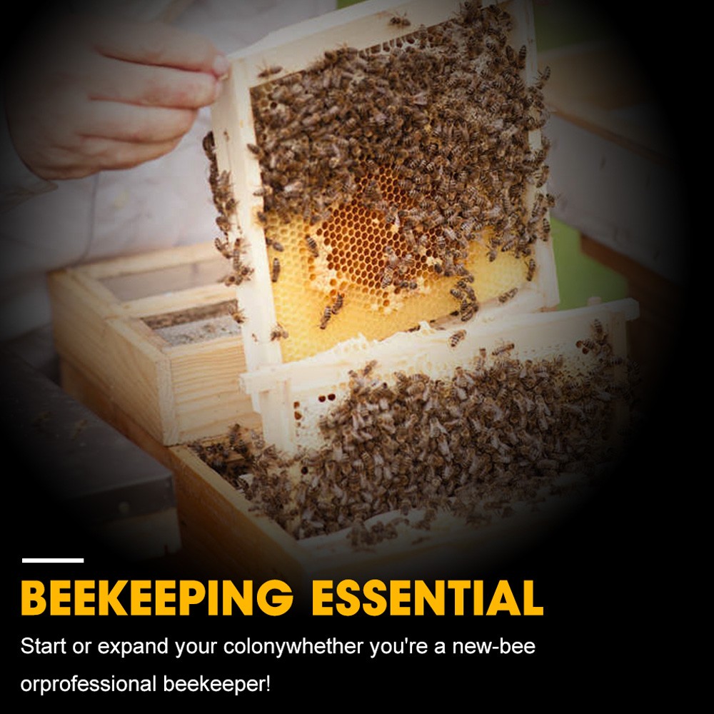 Bees Use Only- FUMIDIL-B Oral Powder Fumagillin Prevention Treatment Nosema Apis