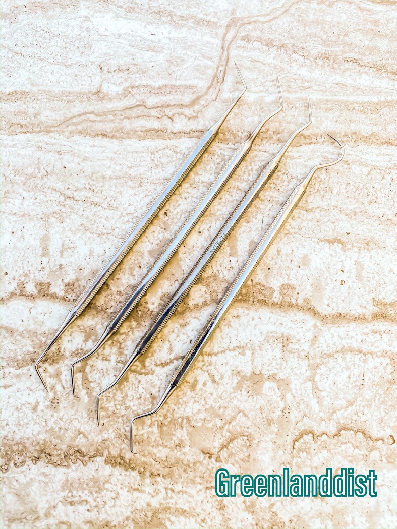 4Pc Dental Probe Set Stainless Steel Good Quality Surgical