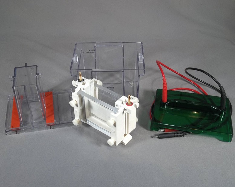 Bio Rad Mini Protean 2 Gel Electrophoresis System with Gel Casting Stand
