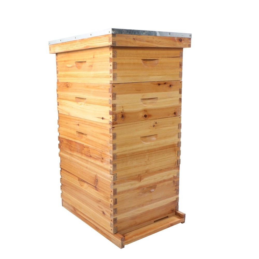 10 Frame Bee Hive Beeswax Coated W/ Frames and Waxed Foundations 4 Layer