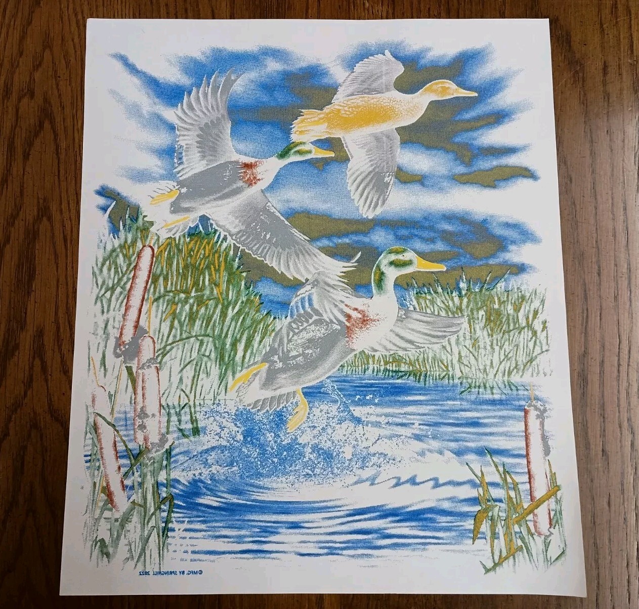 Authentic Vintage 90’s Ducks Outdoors Nature Heat Transfer Iron On NOS