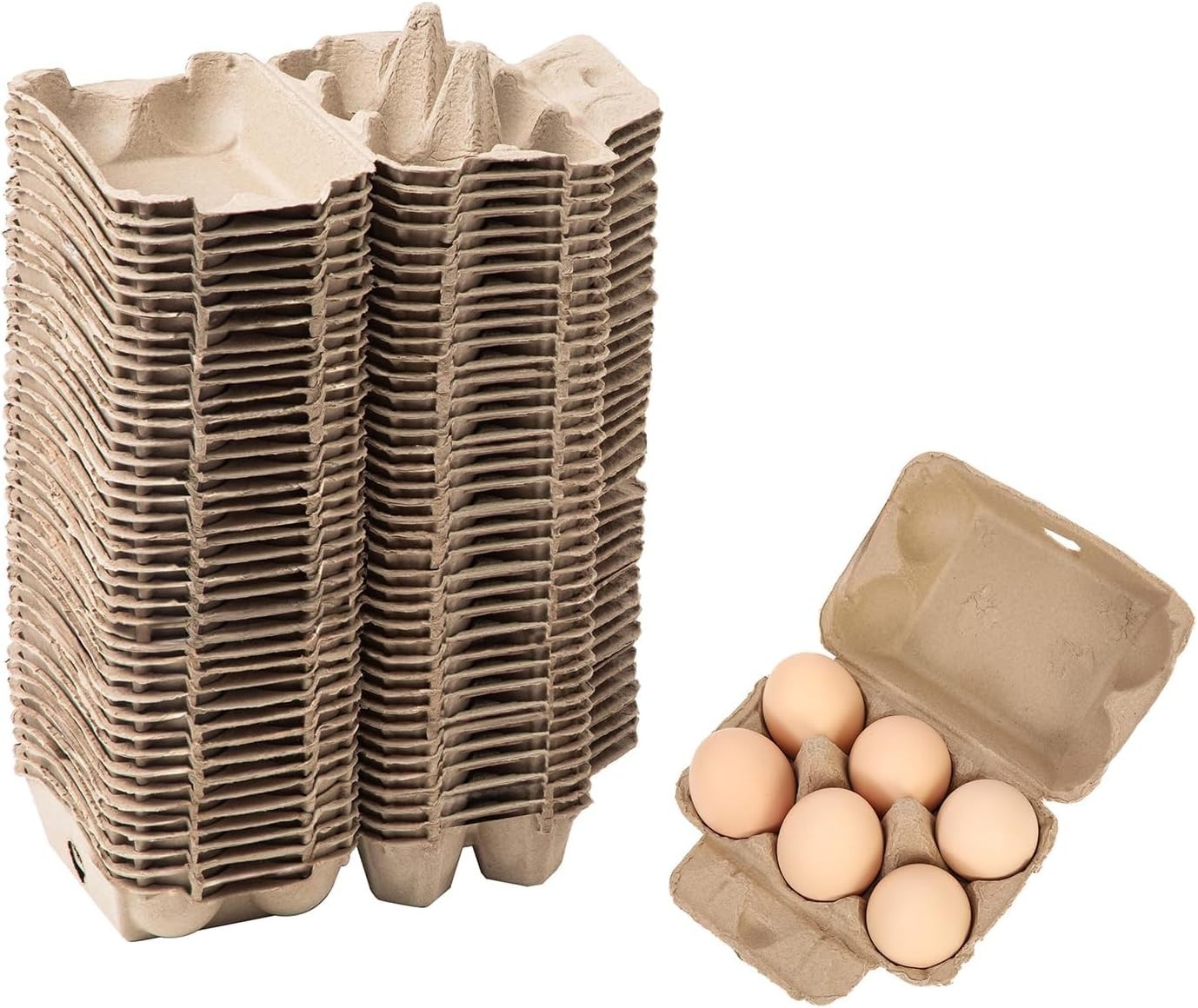 Egg Cartons Bulk 40 Pack Reusable Egg Storage 2×3 Style Biodegradable Durable