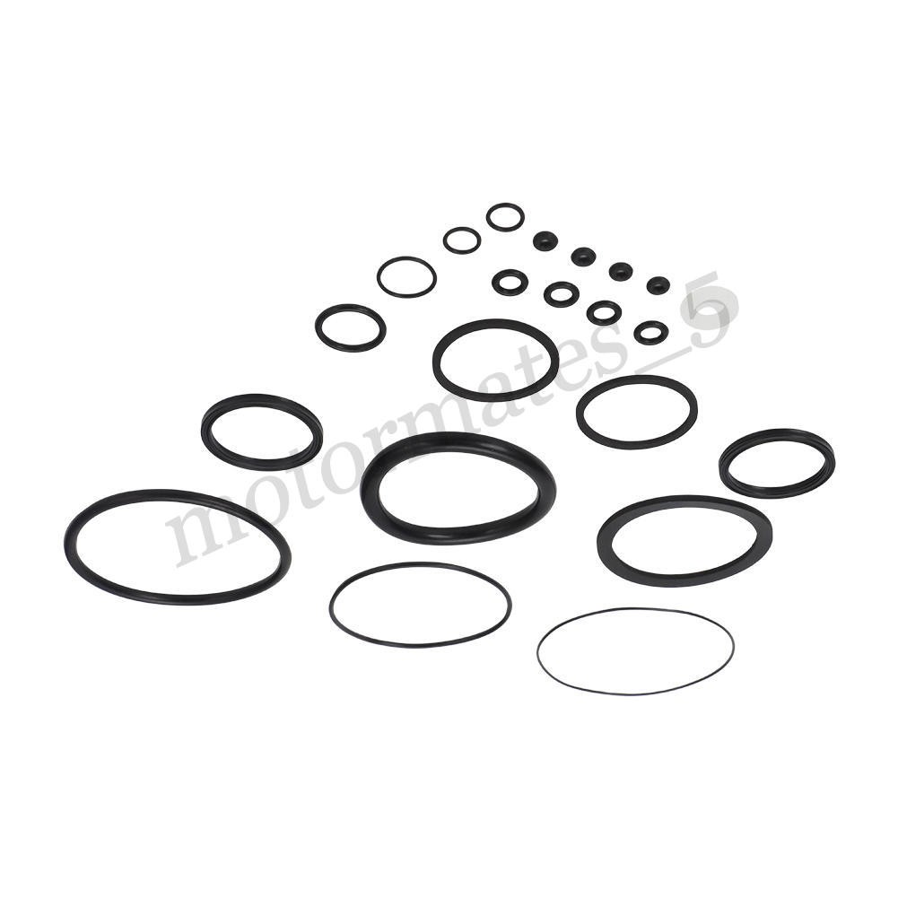 Complete Hydraulic Seal and O-Ring Kit with Check Balls for 7050 Actuator Repair