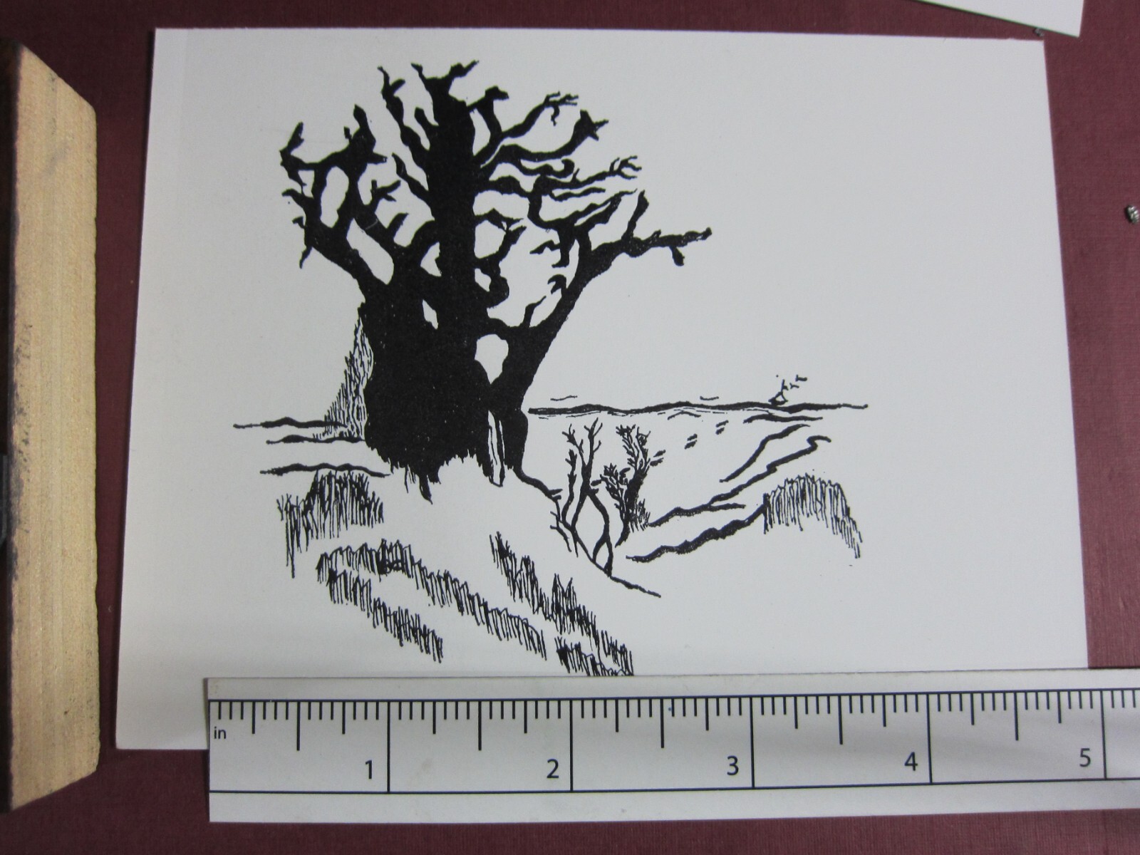 Printing Letterpress Printers Cut Block, Printers Cut «Creepy Tree» Zinc