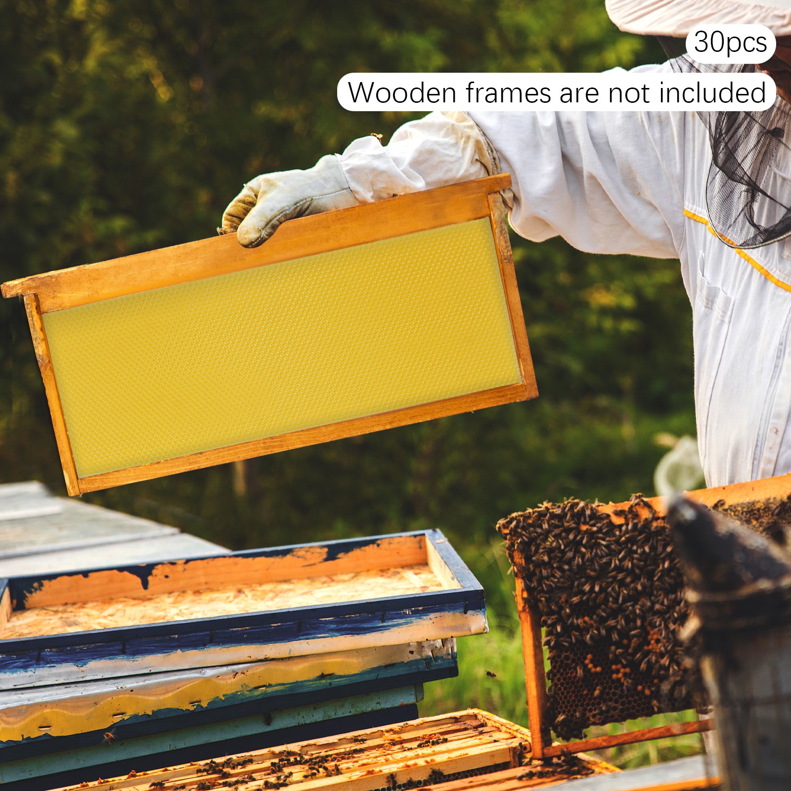 30Pcs 7.7*16.3″ Honeycomb Wax Frames Beekeeping Foundation Honey Bee Hive Tool.