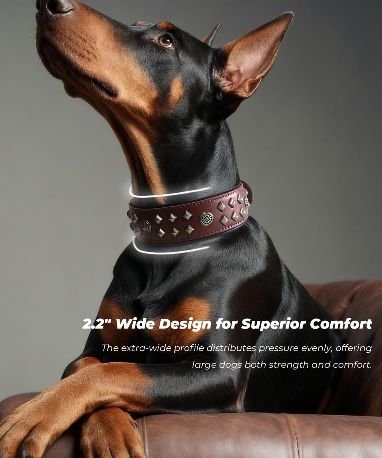 Genuine Leather Dog Collar 2.2 in Wide for Large Dogs Heavy Duty, BN-SL-L | H…