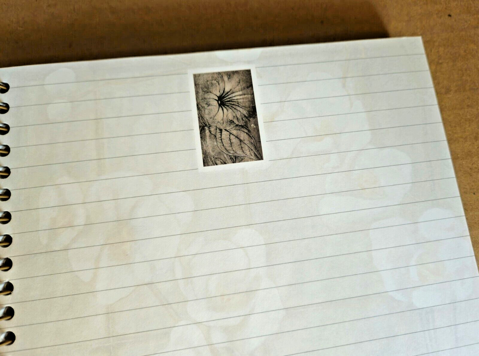 Blank Journal with Lined Pages, Spiral Binding & Heavy Covers ORCHID FLOWER Art