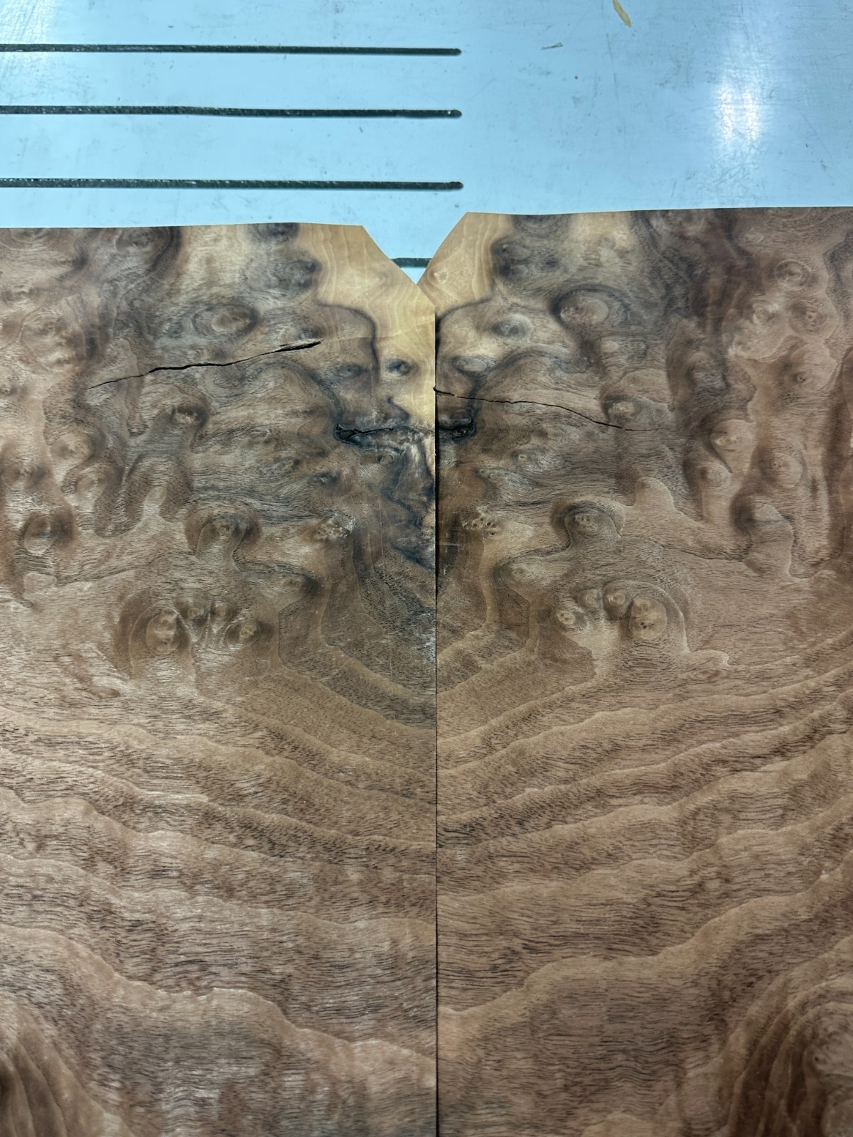 Walnut Burl Raw Wood Veneer 2 sheets 50″ x 18″ 522E
