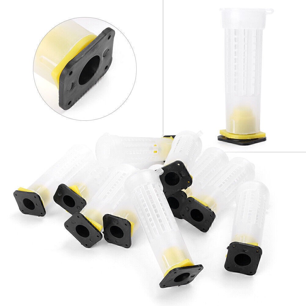 Beekeeping Rearing Cup Kit Queen Bee Cages Beekeeper Equipment Tools Kit 10 PCS