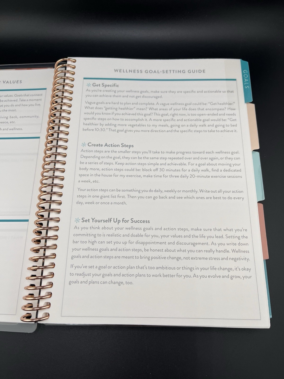 Erin Condren Pink Coiled Daily Wellness Journal You Have What It Takes Planner