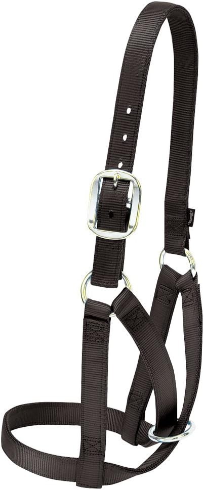 Weaver Livestock Barn Cow Buckle Cattle Halter, Adjustable, Modern Style Cow Cal