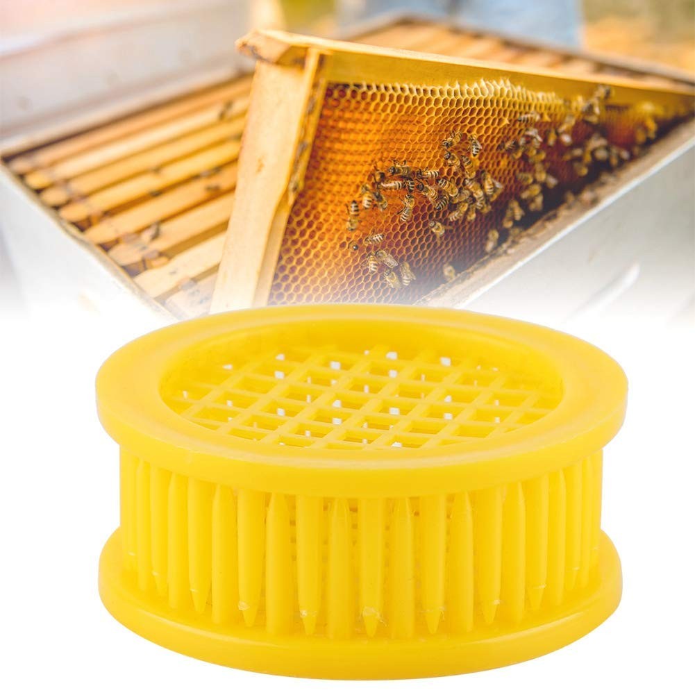 6Pcs Plastic Queen Bee Cage Rearing Box Beekeeping Queen Catcher Isolator