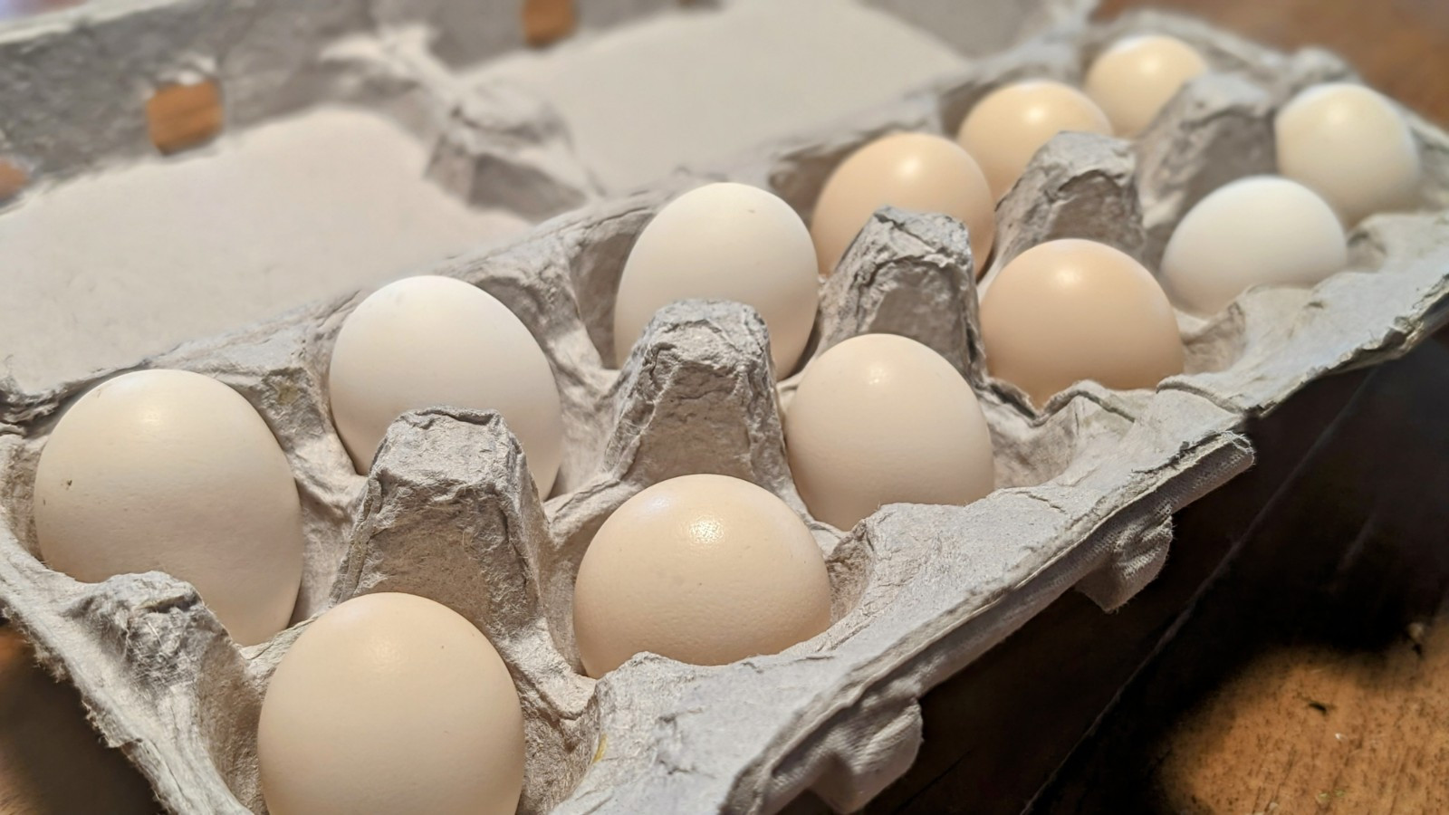 10++ eggs: Serama Bantam Chicken Hatching Eggs-Pocket, Teacup, Tiny