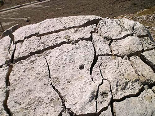 Dexpan 11 Lb Expansive Demolition Grout For Silent Concrete Rock Breaking