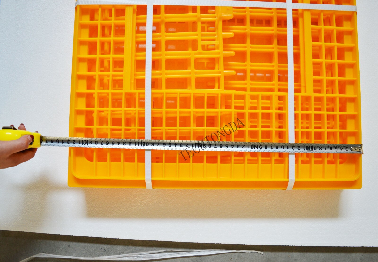 Techtongda Rite Farm Products Poultry Transport Show Case Coop Crate Chicken