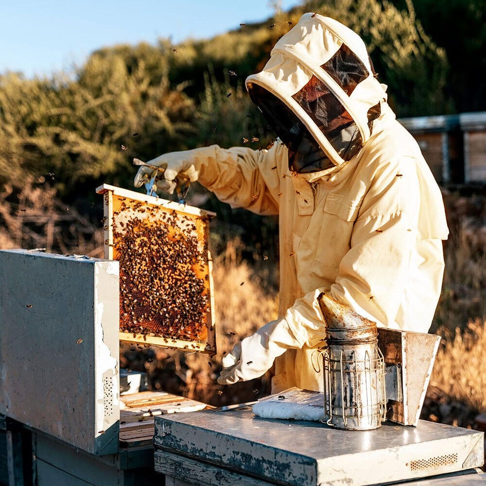 XXL Full Body Anti-bee Suit Cotton Beekeeping Clothing w/Veil Hood&Gloves Unisex