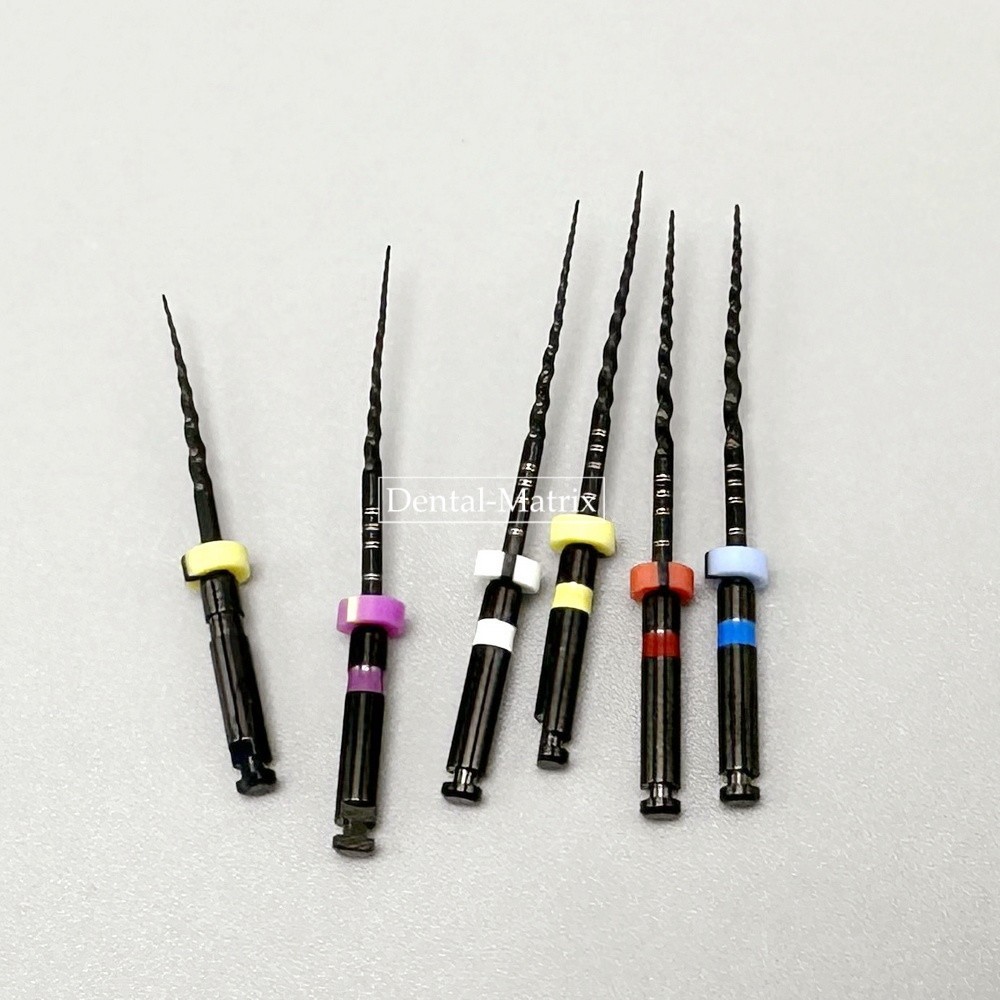 6pcs Dental Nickel Titanium Heat Activated Root Files Black Rotary Files 25mm