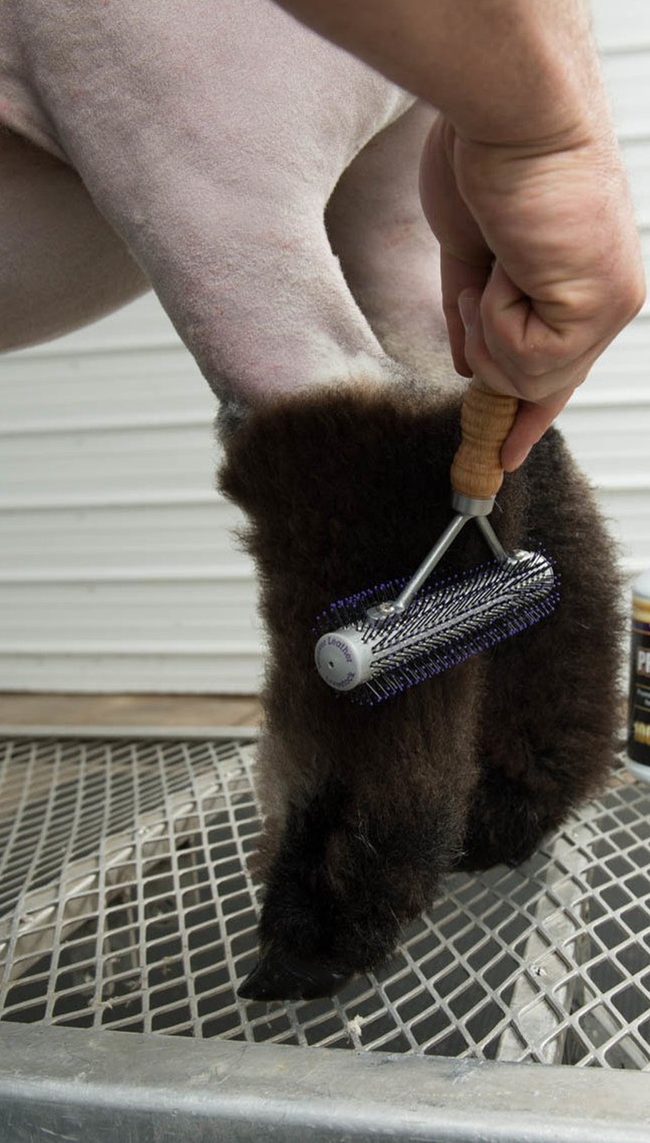 Weaver Leather Livestock Mini Wide Range Brush Purple